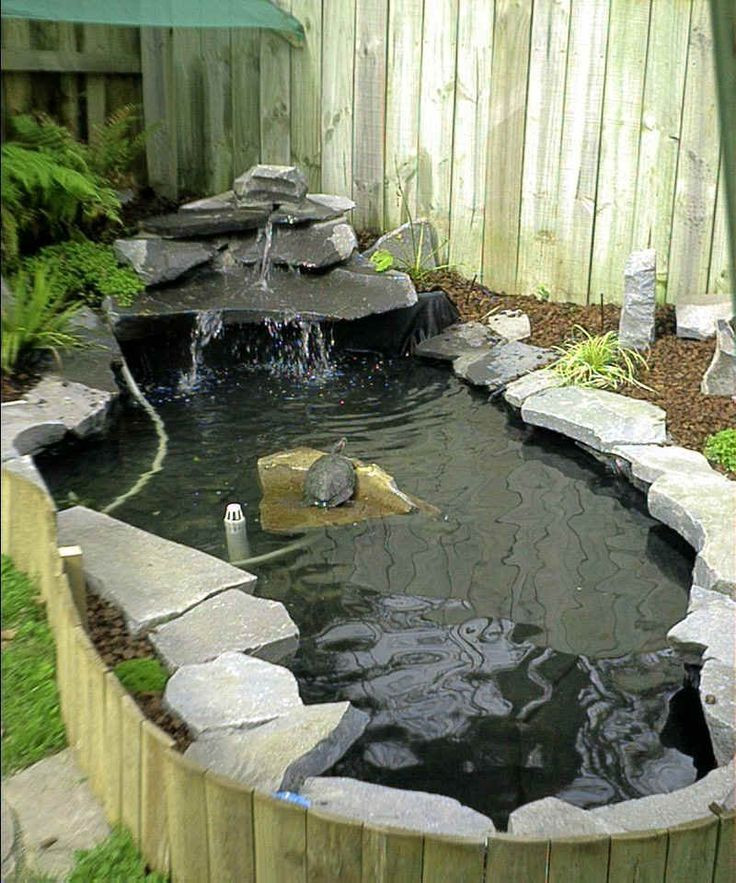 DIY Outdoor Turtle Pond
 100 ideas to try about New turtle habitat ideas