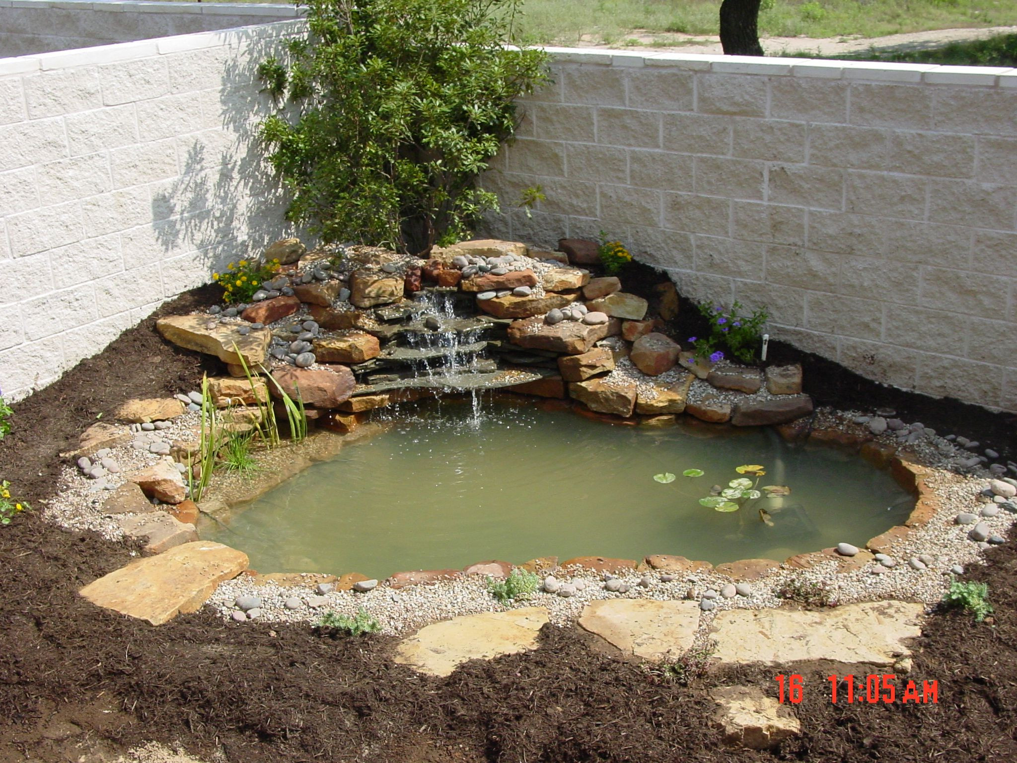 DIY Outdoor Turtle Pond
 More pond ideas