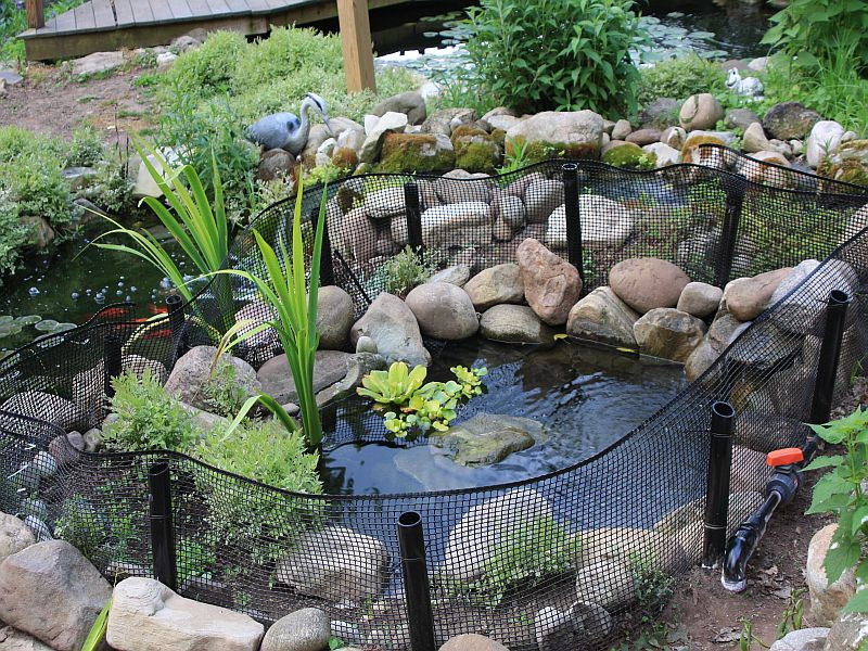 DIY Outdoor Turtle Pond
 Outdoor turtle pond