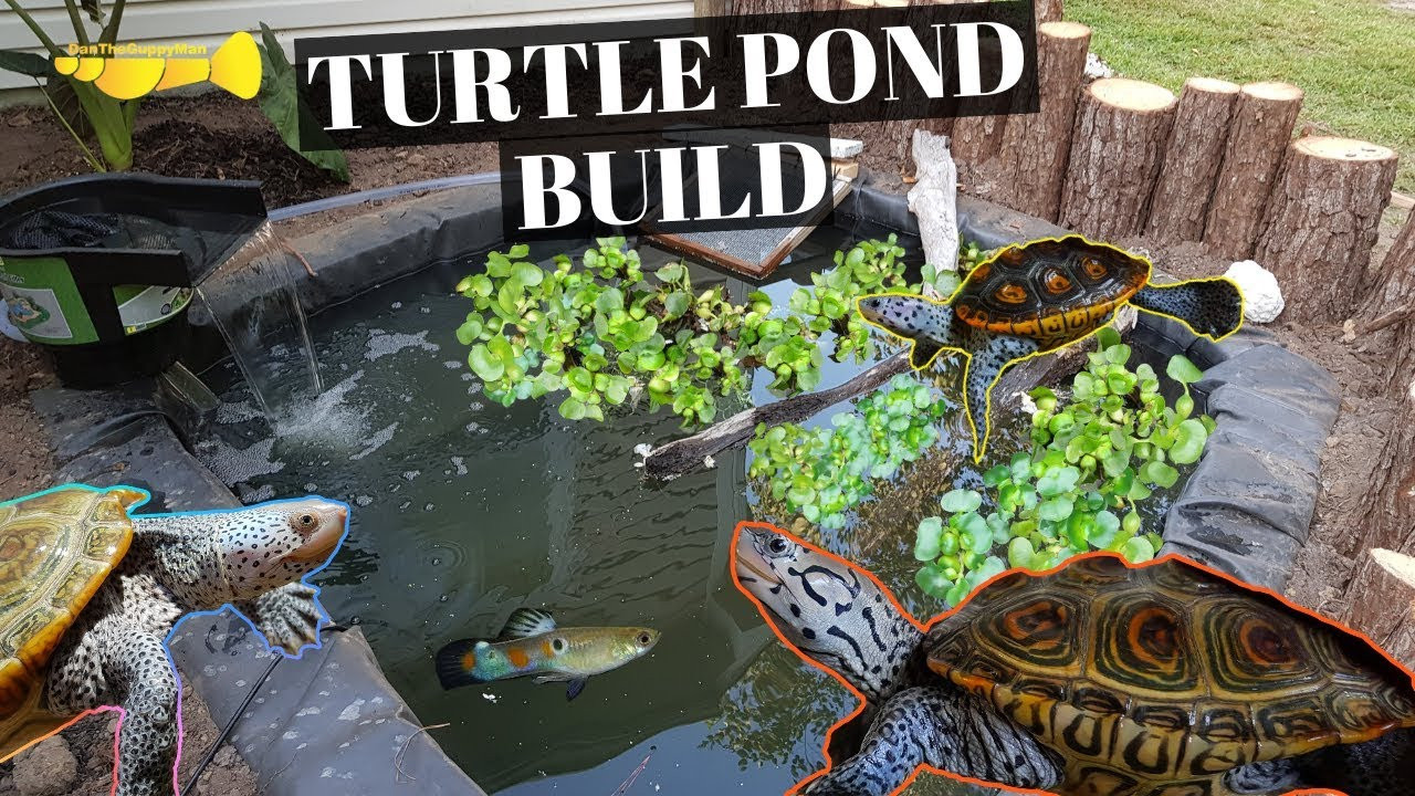 DIY Outdoor Turtle Pond
 ULTIMATE DIY Turtle Pond BUILD