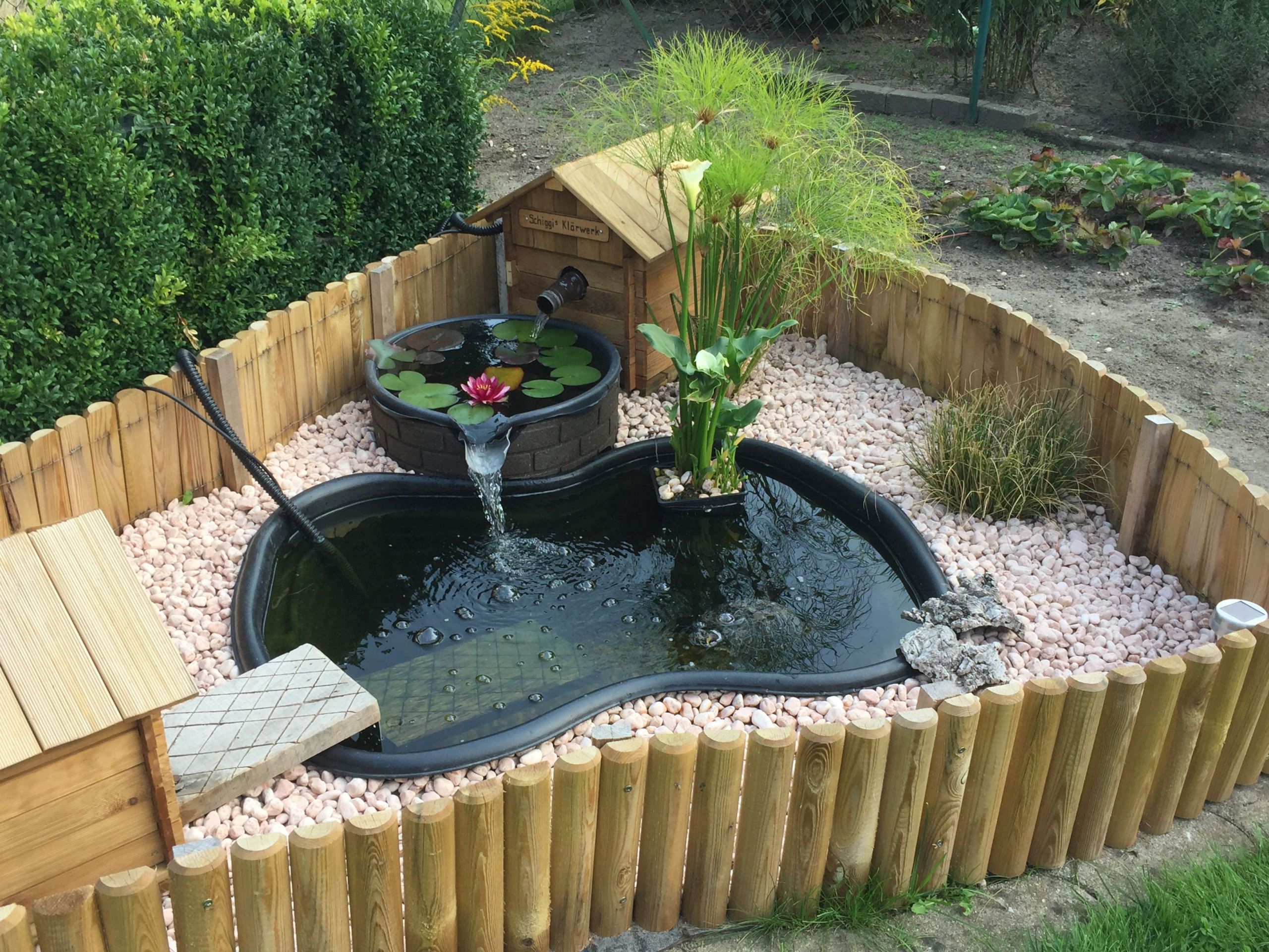 DIY Outdoor Turtle Pond
 Pin by Tracy Cook on Yard Idea s