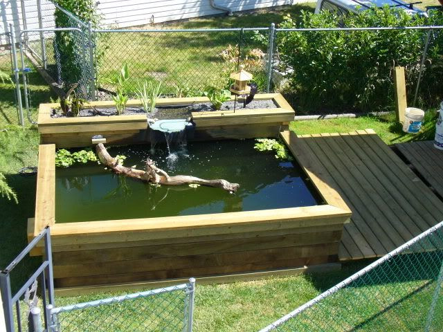 DIY Outdoor Turtle Pond
 The 20 best images about Turtle tank ideas on Pinterest
