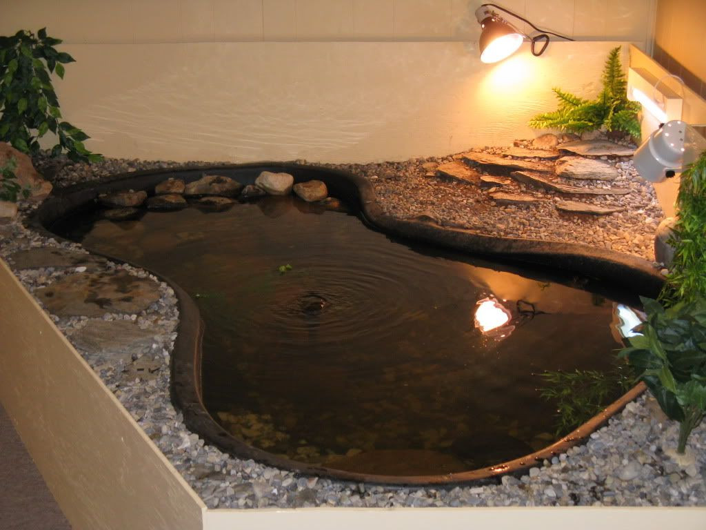 DIY Outdoor Turtle Pond
 turtle ponds