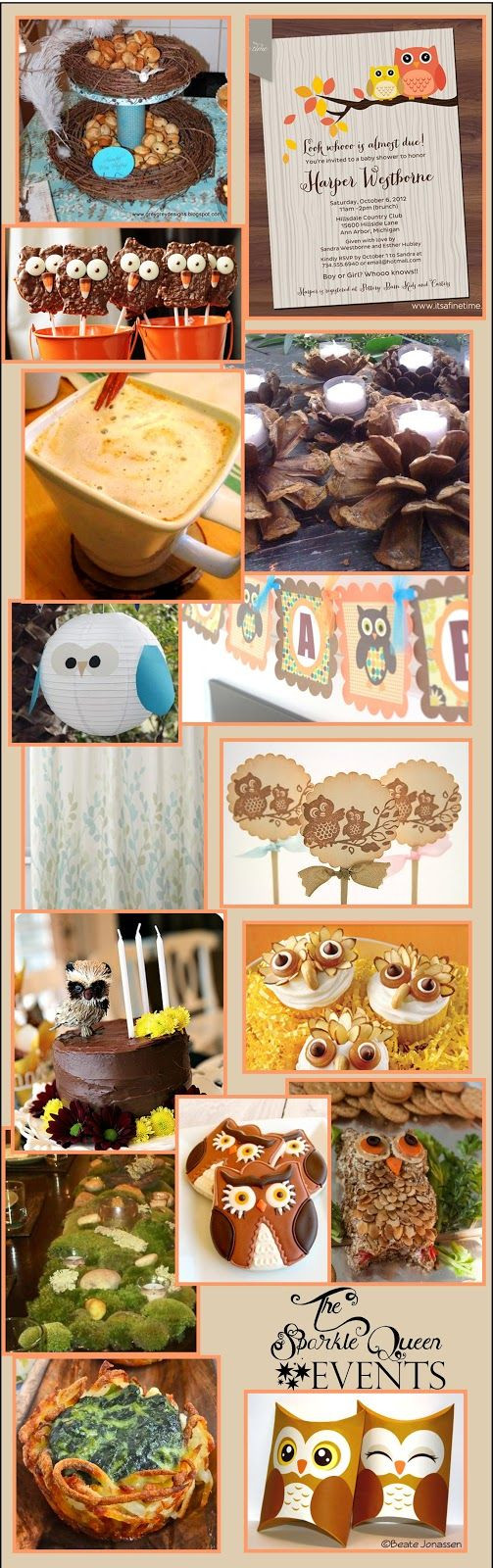 Diy Owl Baby Shower Decorations
 Rustic Owl Baby Shower Mostly DIY idea and design board