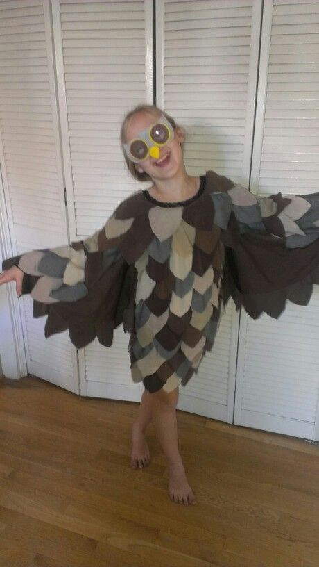 DIY Owl Costume
 Homemade Owl Costume Costumes