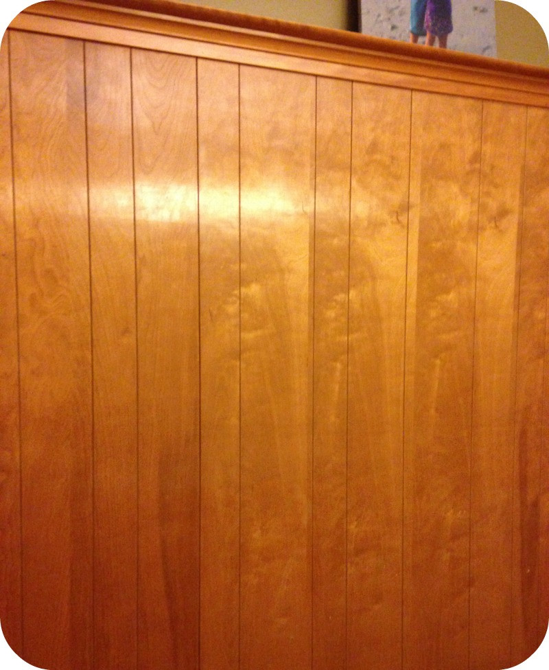 DIY Painting Wood Paneling
 DIY Home Repair Hack Easily Paint Over Wood Paneling