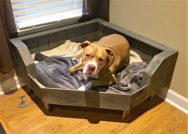 DIY Pallet Dog Beds
 50 DIY Ideas for Wood Pallet Dog Beds Inspirationalz