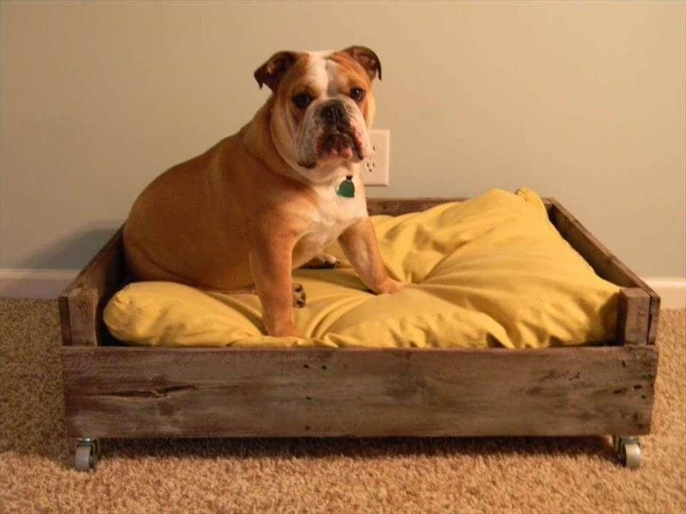 DIY Pallet Dog Beds
 40 DIY Pallet Dog Bed Ideas Don t know which I love more
