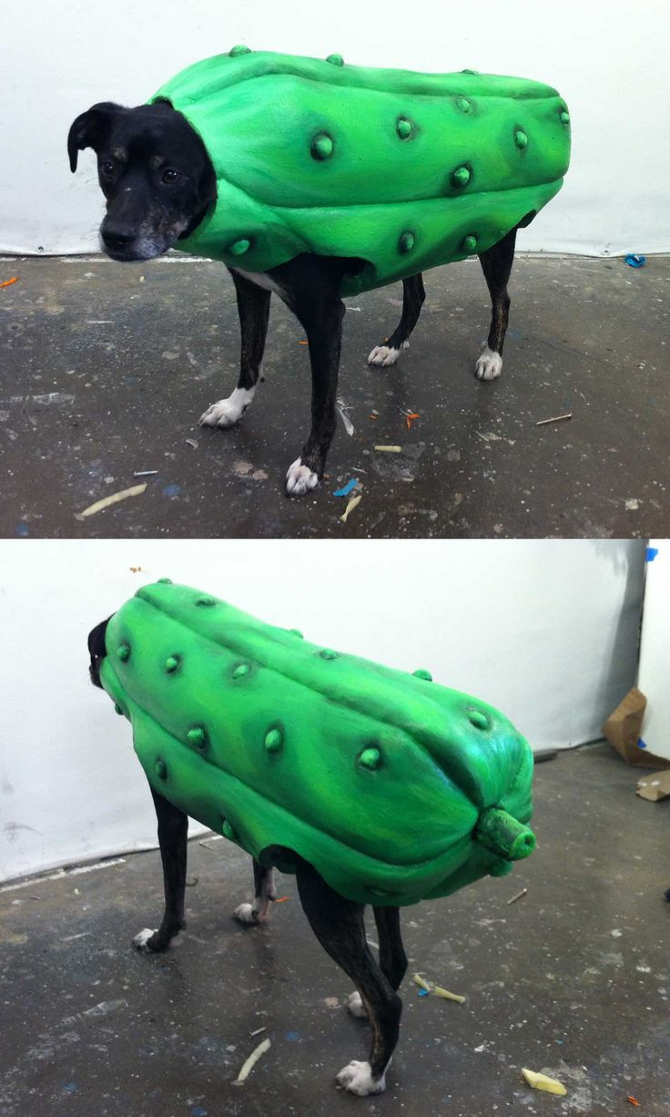 DIY Pickle Costume
 17 Best images about Pickle Costume for Brayden 2015 on