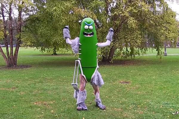 DIY Pickle Costume
 Show Everyone Your IQ With This DIY Pickle Rick Halloween