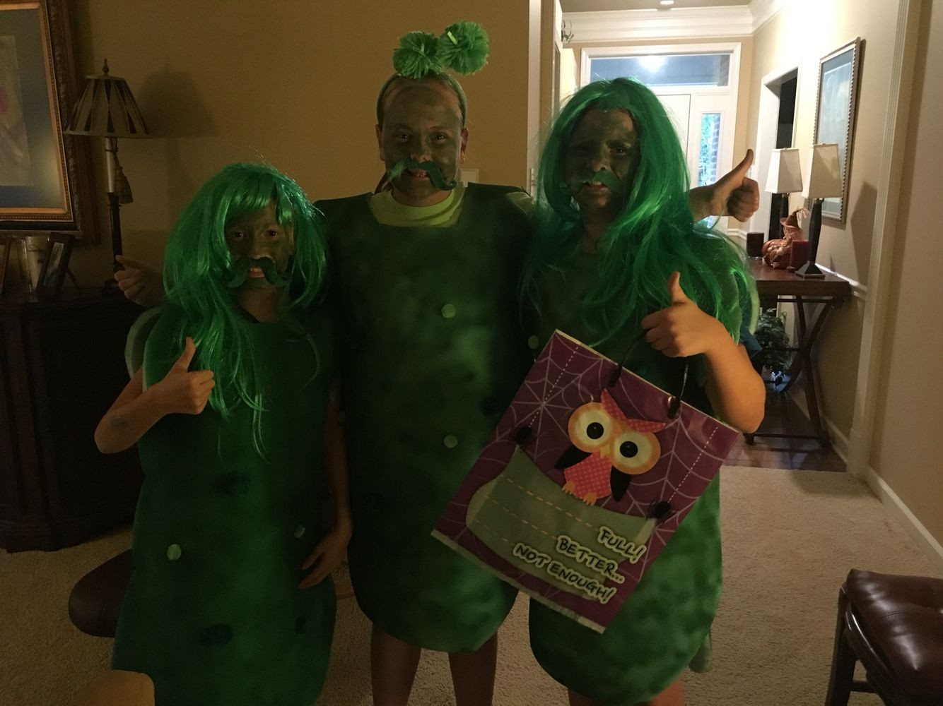 DIY Pickle Costume
 Homemade pickle Halloween costumes