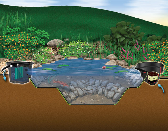DIY Pond Kit
 Aquascape DIY Backyard Pond Kits – Aquascapes