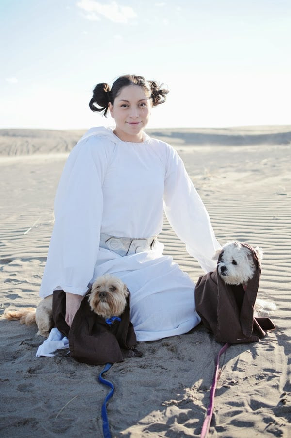 DIY Princess Leia Costume
 DIY Star Wars Halloween Costumes