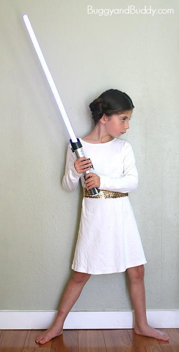 DIY Princess Leia Costume
 DIY Princess Leia Costume Idea