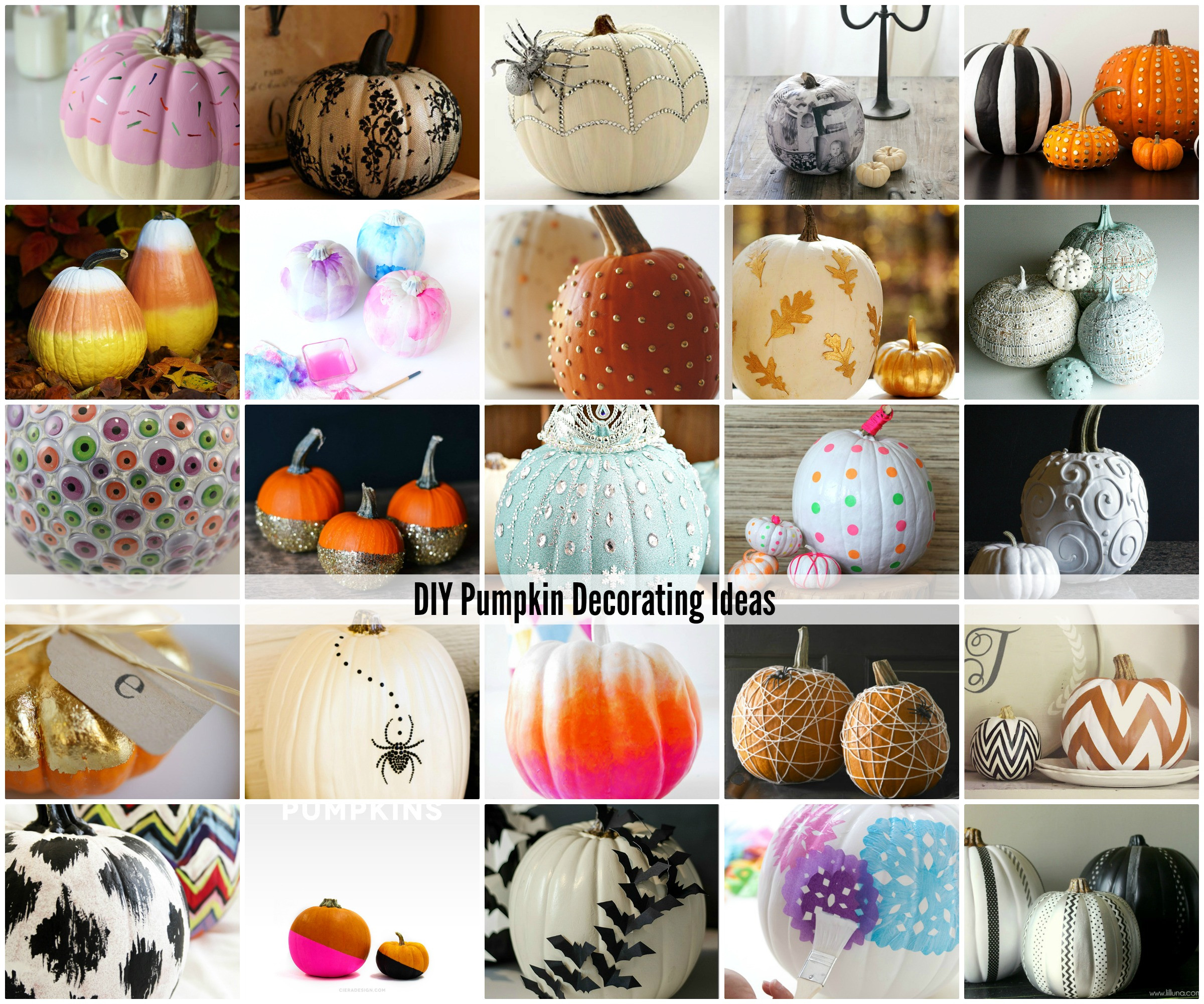 DIY Pumpkin Decorations
 DIY Pumpkin Decorating Ideas The Idea Room