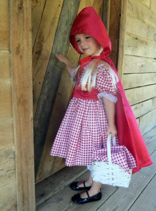 DIY Red Riding Hood Costume For Adults
 WeHaveCostume Modest Quality Homemade Story Time Halloween