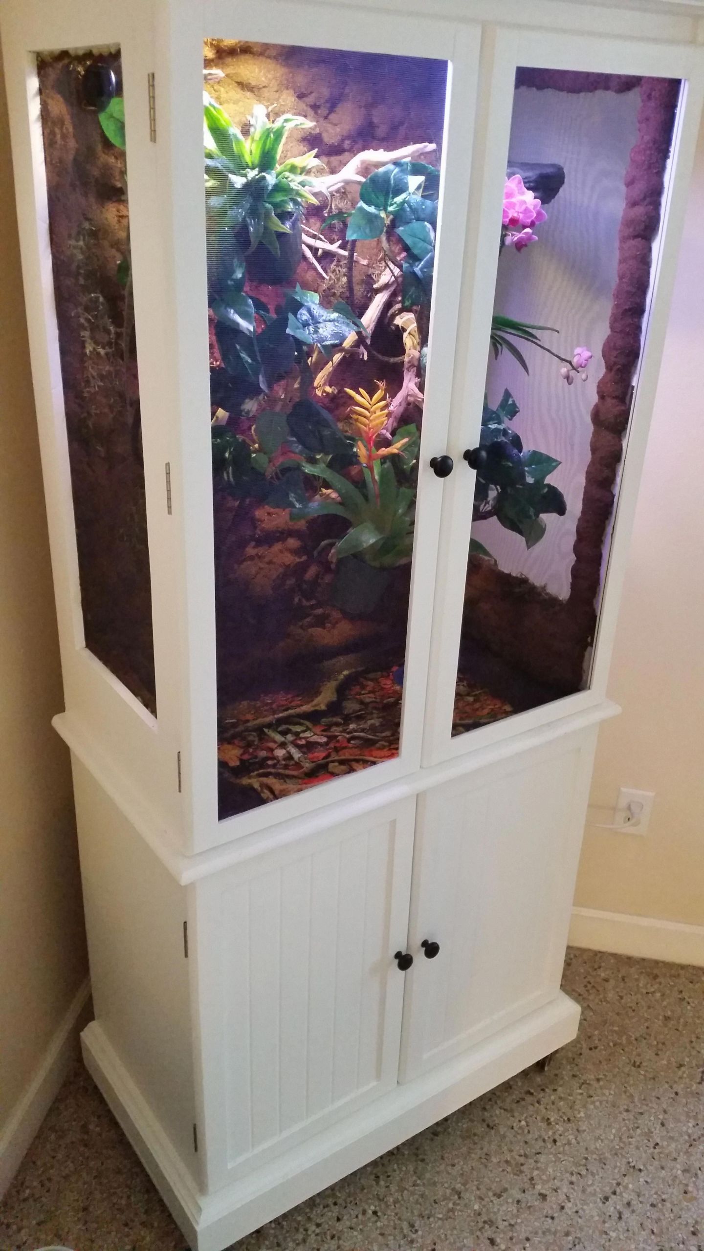 DIY Reptile Decor
 Finally finished Fully repurposed DIY Chameleon Vivarium