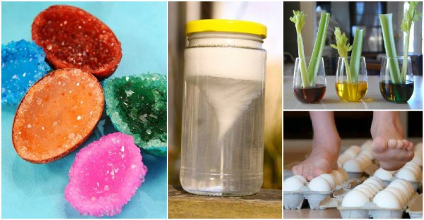 DIY Science Experiments For Kids
 Science Experiments For Kids