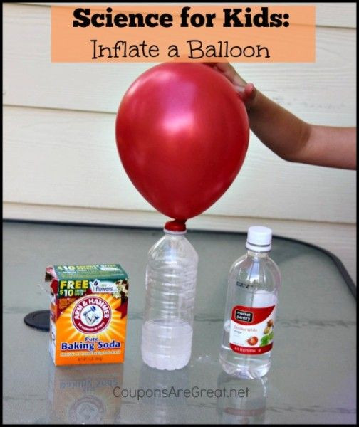 DIY Science Experiments For Kids
 Looking for fun crafts to try with your kids and