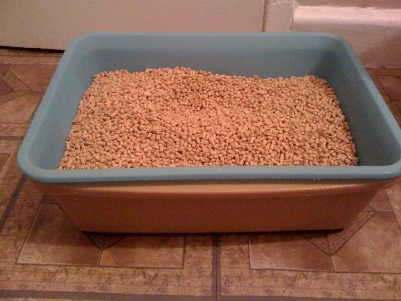 DIY Self Cleaning Litter Box
 How to Build a Feline Pine Self cleaning Litter Box