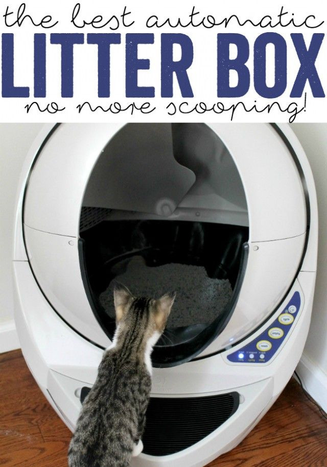 DIY Self Cleaning Litter Box
 The EASIEST litter box ever NO scooping ad litterrobot