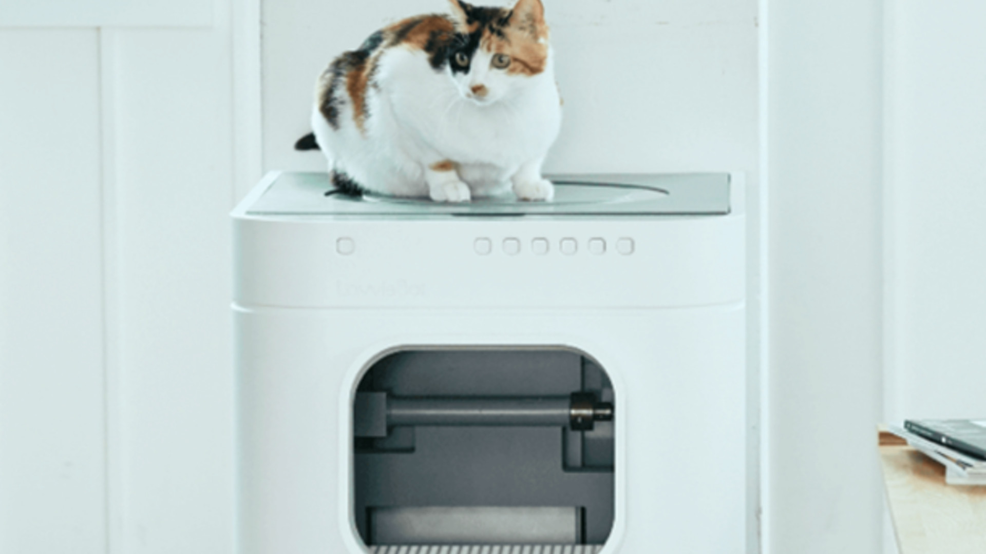 DIY Self Cleaning Litter Box
 This Self Cleaning Litter Box Can Do Some Pretty