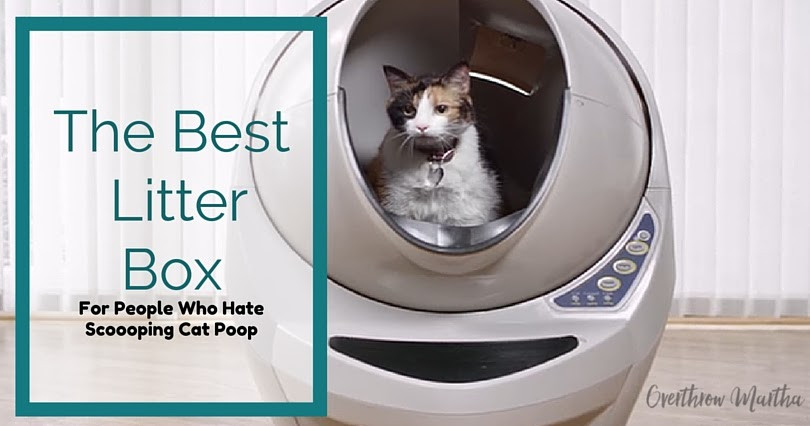 DIY Self Cleaning Litter Box
 Litter Robot Self Cleaning Litter Box Review