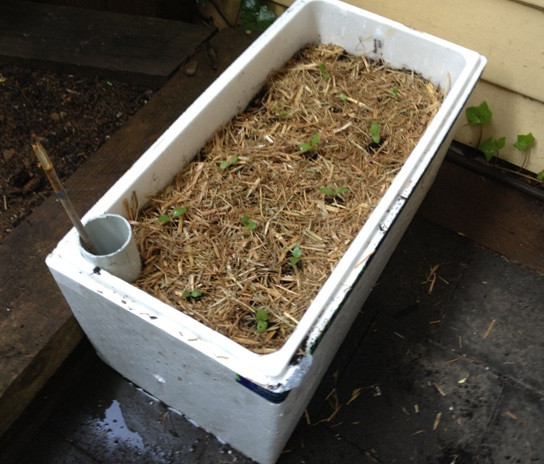 DIY Self Watering Planter Box
 DIY Self Watering Planter Box