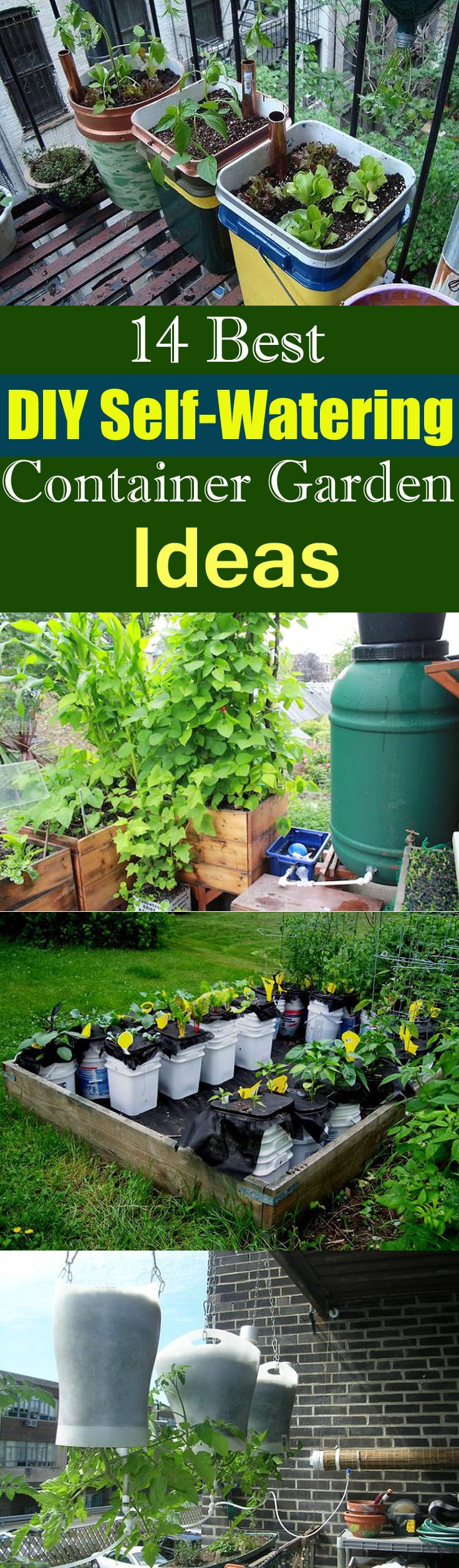 DIY Self Watering Planter Box
 14 Best DIY Self Watering Container Garden Ideas