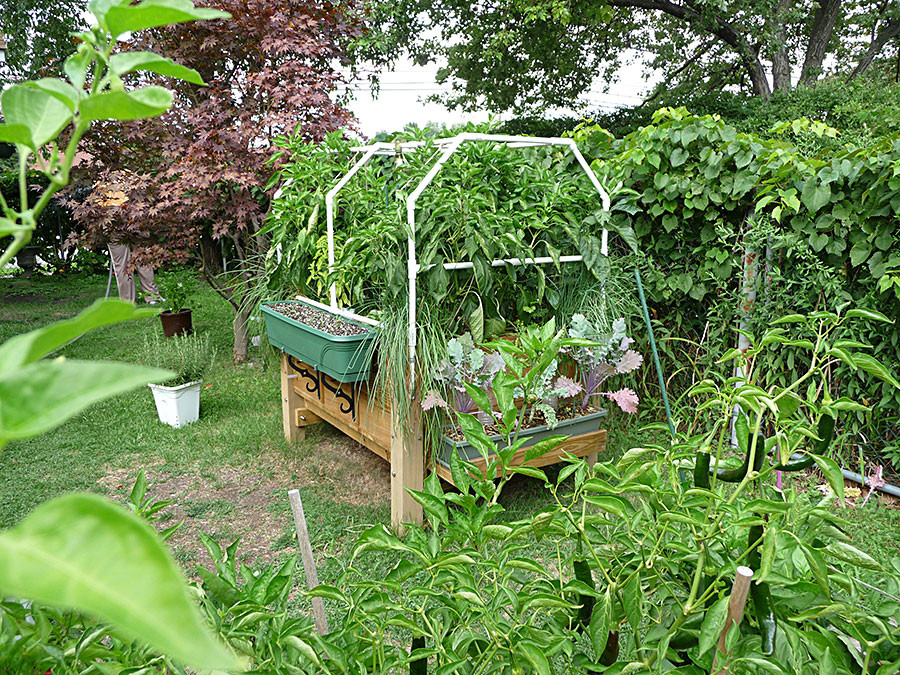 DIY Self Watering Planter Box
 Albo grow Box A Self Watering Raised SIP or Sub