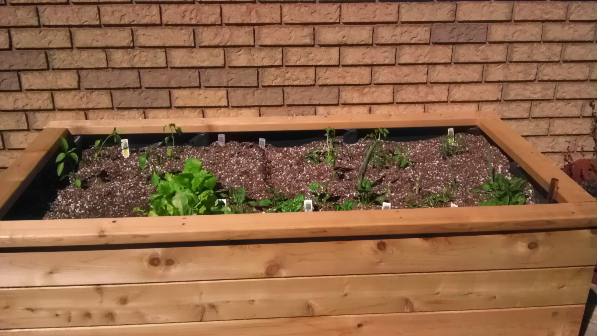 DIY Self Watering Planter Box
 12 Innovative Self Watering Planters Ideas And Tutorials