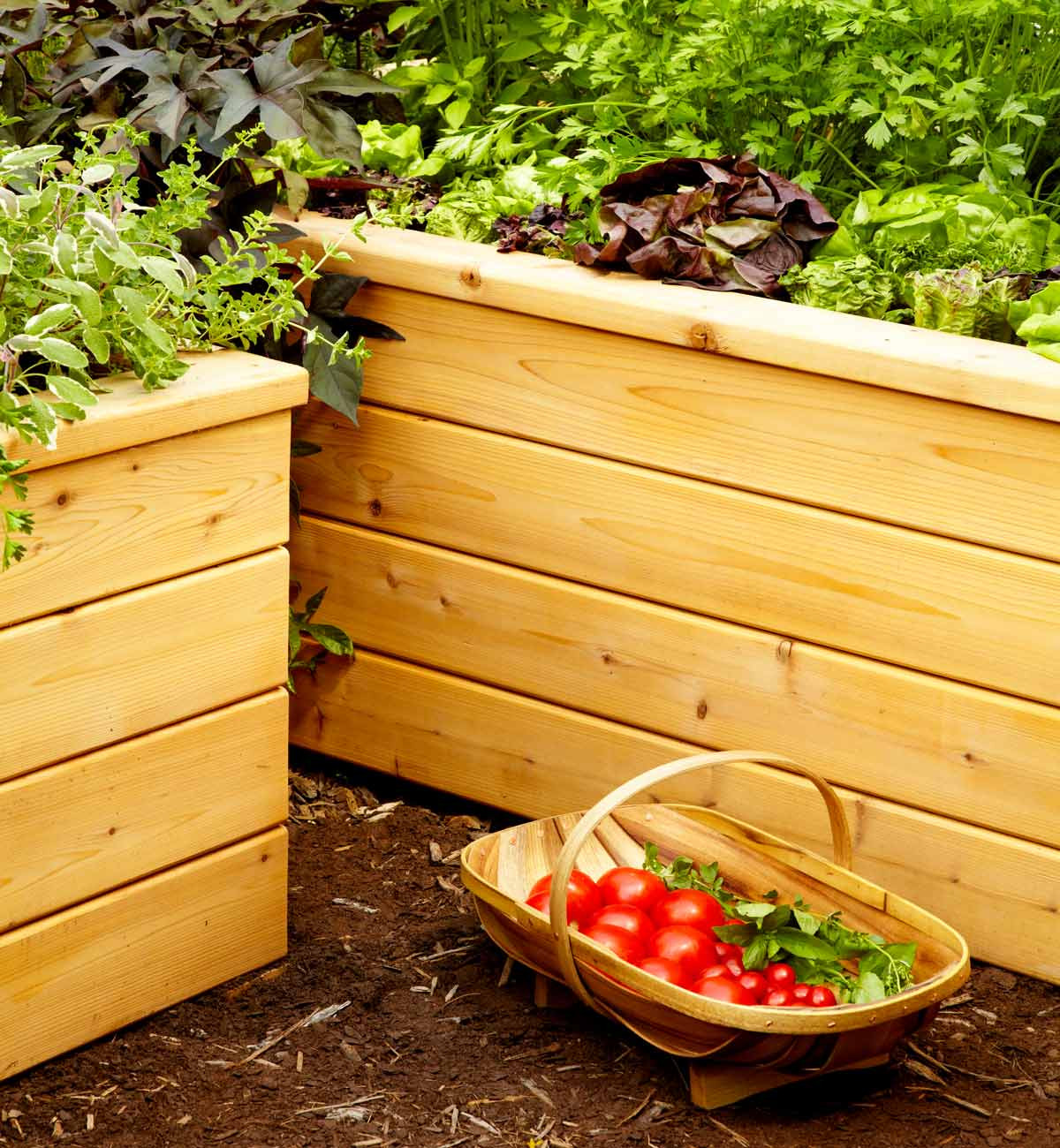 DIY Self Watering Planter Box
 Build self watering planters