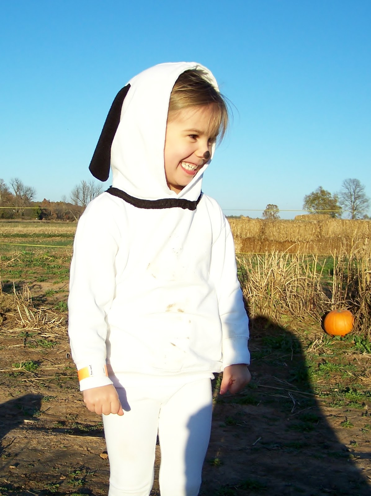 DIY Snoopy Costumes
 repurpose relove Halloween Decorations & Peanuts Costumes