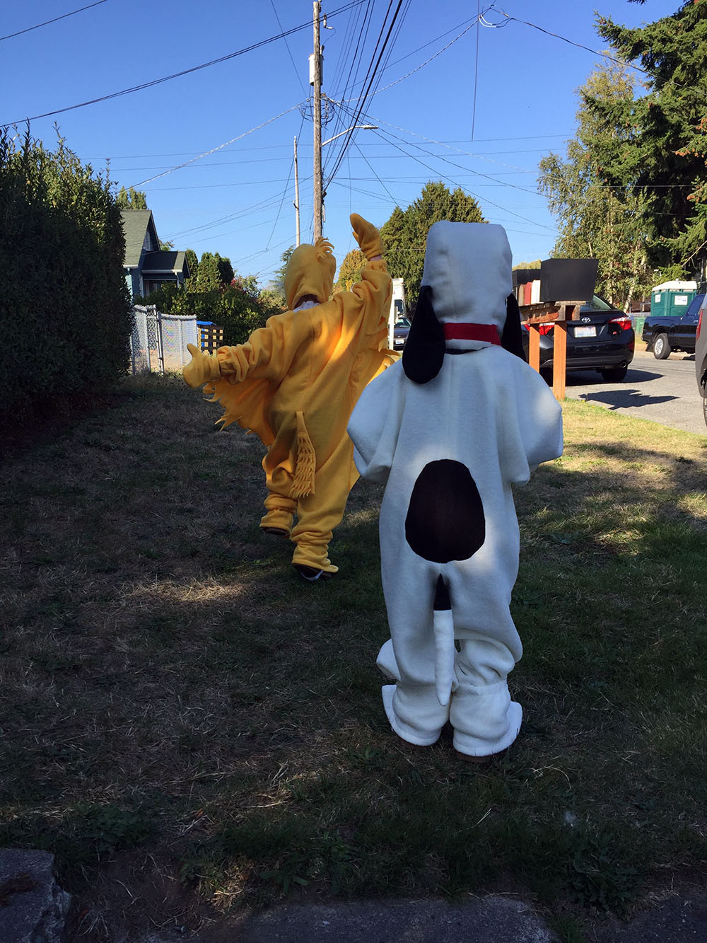 DIY Snoopy Costumes
 Snoopy and Woodstock Halloween Costumes – Easy Craft and Sew