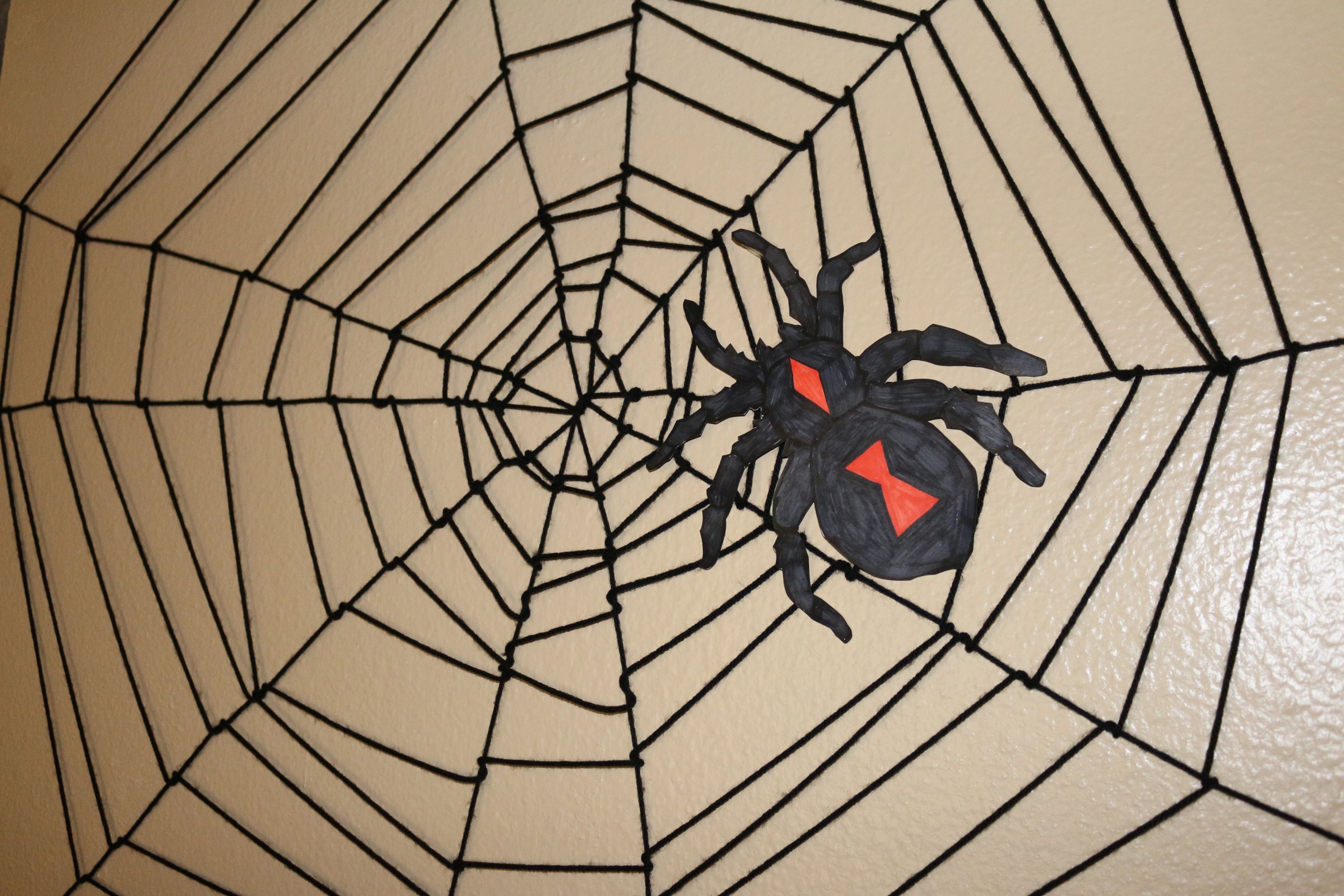DIY Spider Web Decorations
 DIY Spider Web