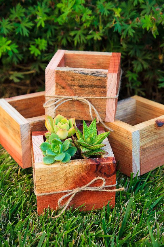 DIY Succulent Planter Box
 Set of 4 5x5 Succulent Planter Box Redwood