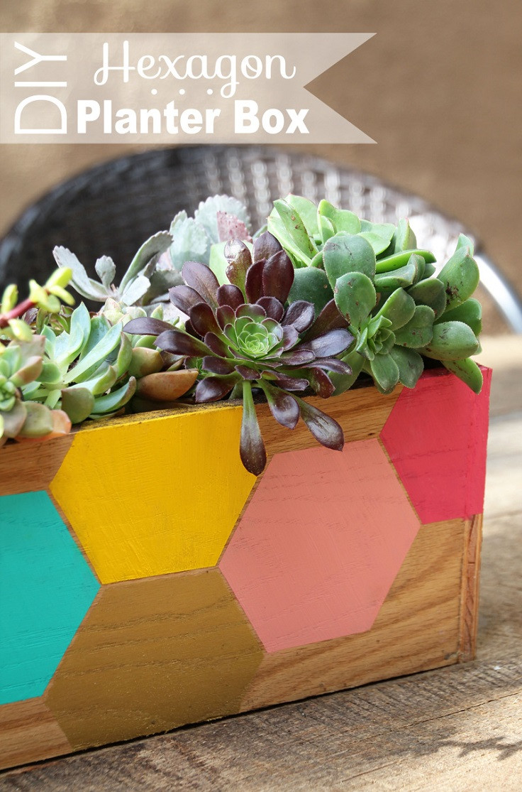 DIY Succulent Planter Box
 TOP 10 Fun DIY Projects with Succulent Plants