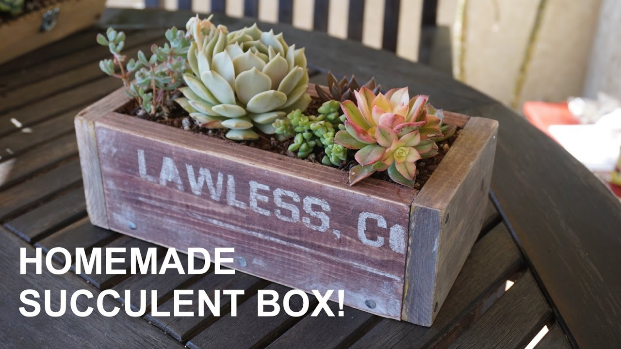 DIY Succulent Planter Box
 DIY AWESOME Wooden Succulent Planter Box