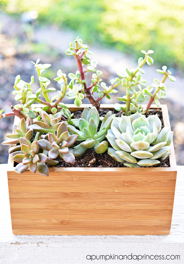 DIY Succulent Planter Box
 Succulent Planter Box Ikea Hack A Pumpkin And A Princess