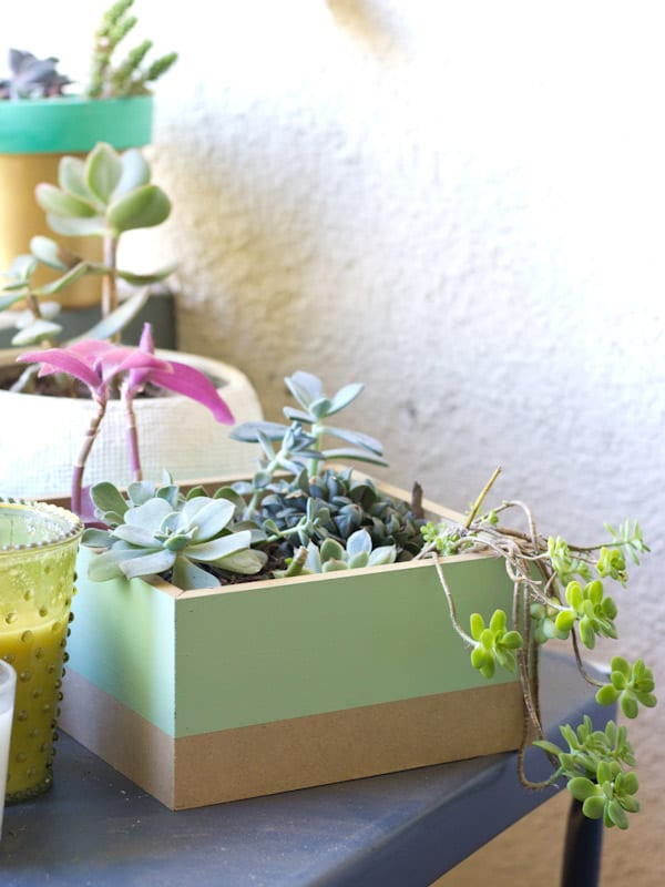 DIY Succulent Planter Box
 DIY Painted Succulent Planter Box Lovely Indeed