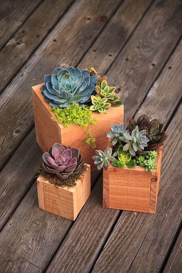 DIY Succulent Planter Box
 25 DIY Wood Planter Box Designs For Your Garden