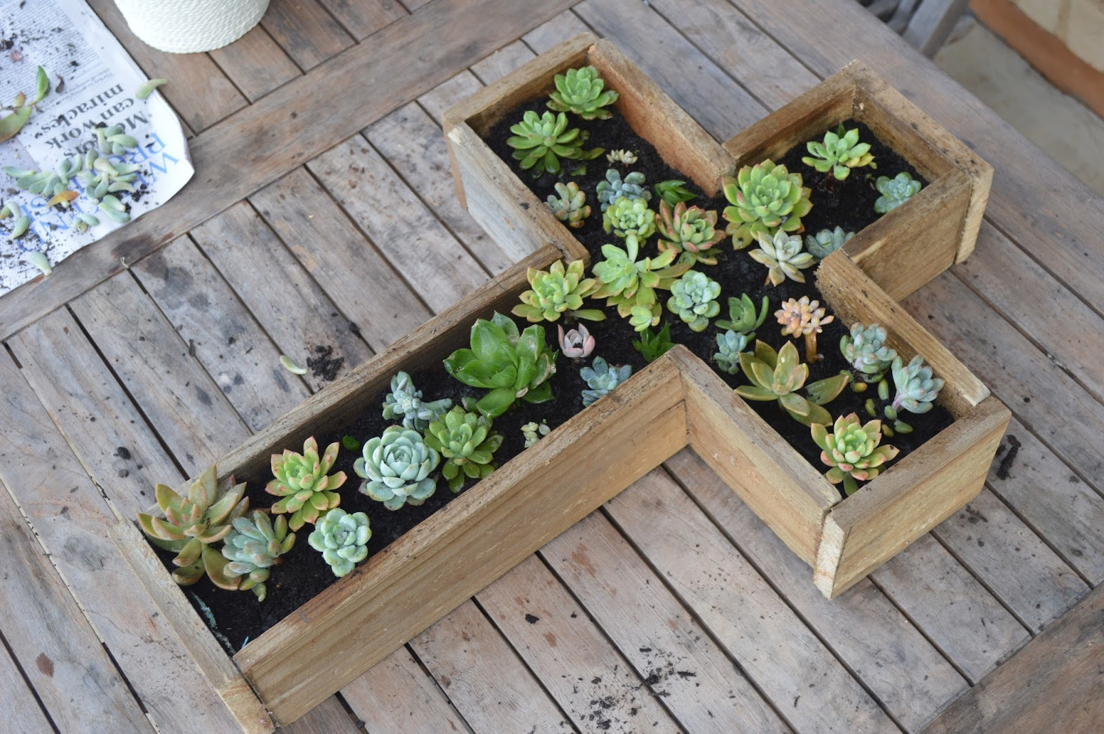 DIY Succulent Planter Box
 Clare Elizabeth xo Succulent Planter Box DIY