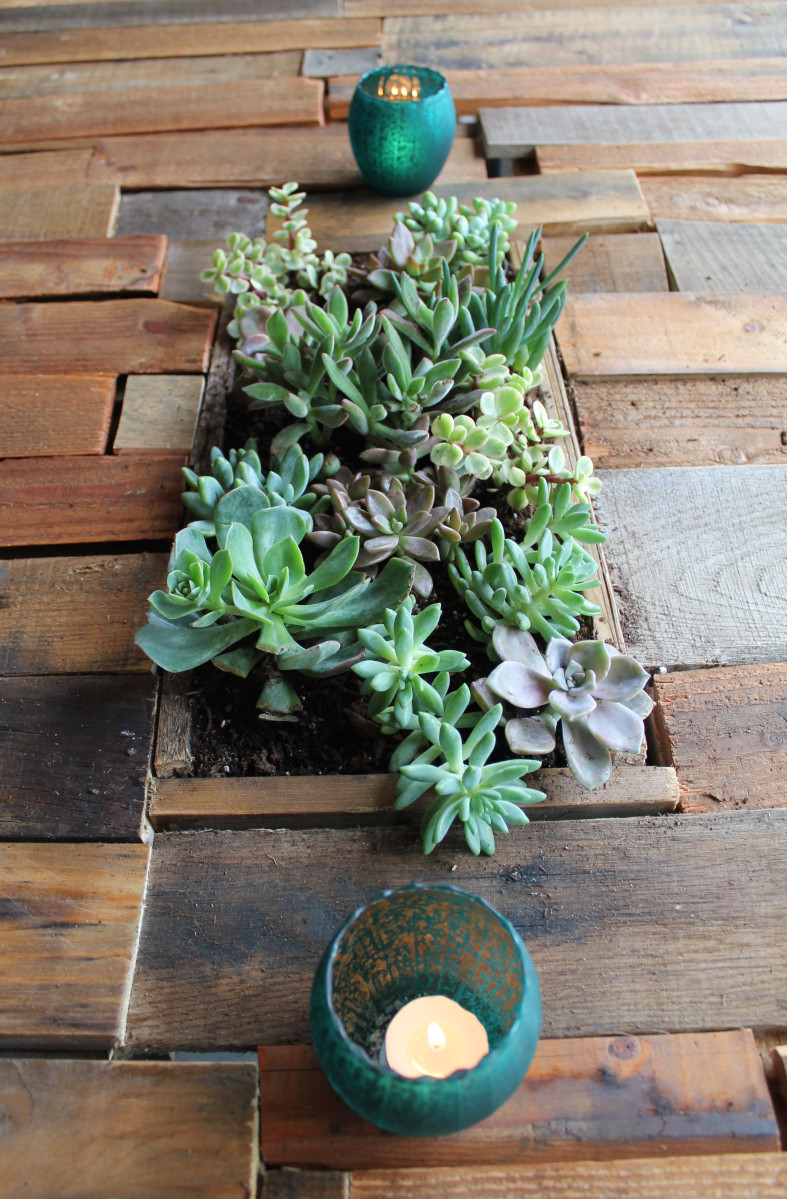 DIY Succulent Planter Box
 DIY Outdoor Table with Succulent Planter Box