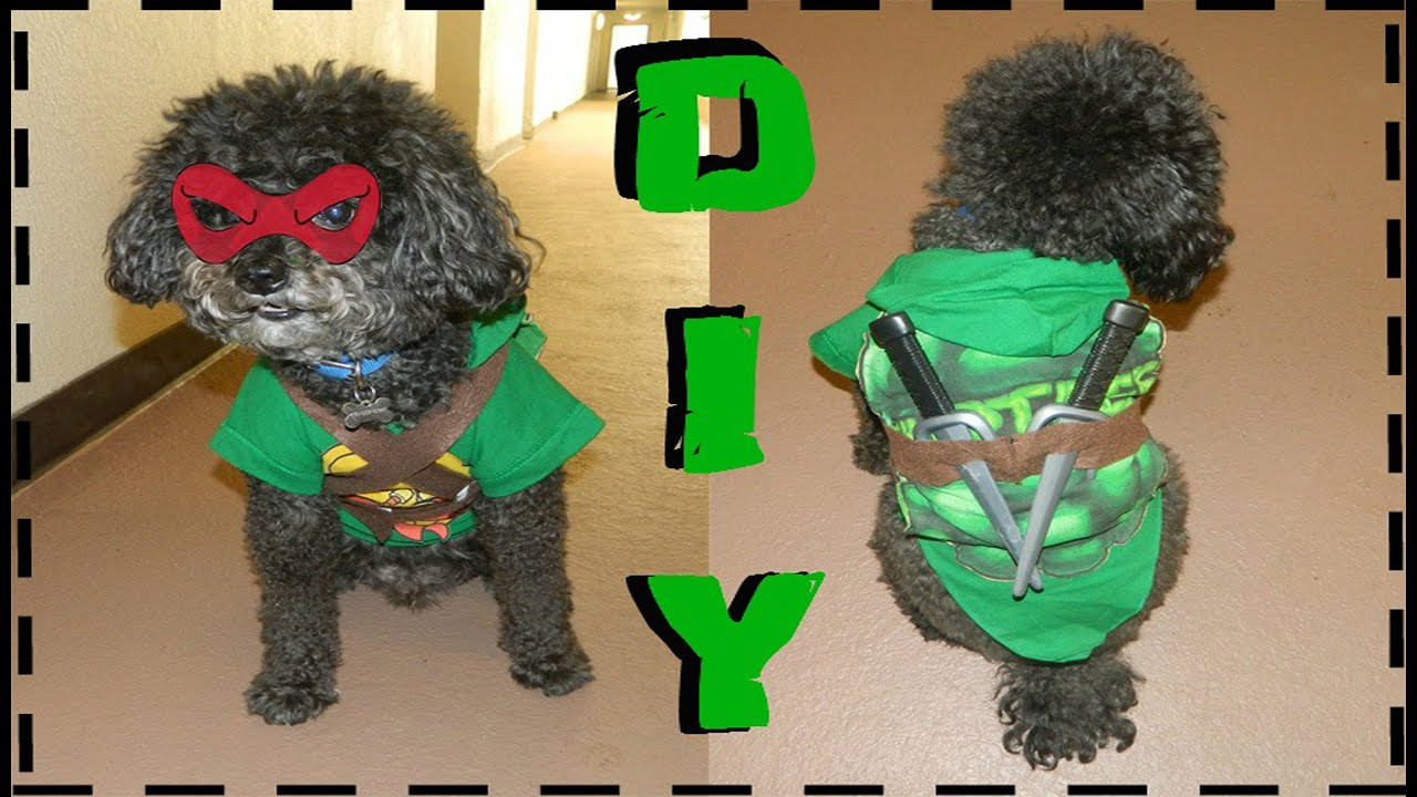 DIY Teenage Mutant Ninja Turtle Costumes
 DIY Teenage Mutant Ninja Turtle Dog Costume No Sew