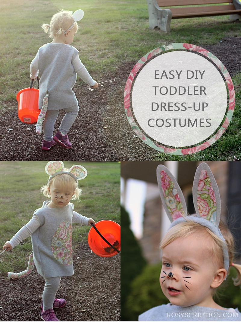 DIY Toddler Costume
 DIY Kids Animal Dress up Costumes Rosyscription