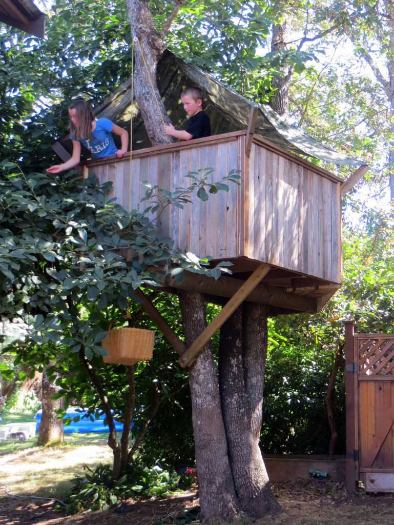 DIY Treehouse For Kids
 How to Build a Treehouse 16 Steps with