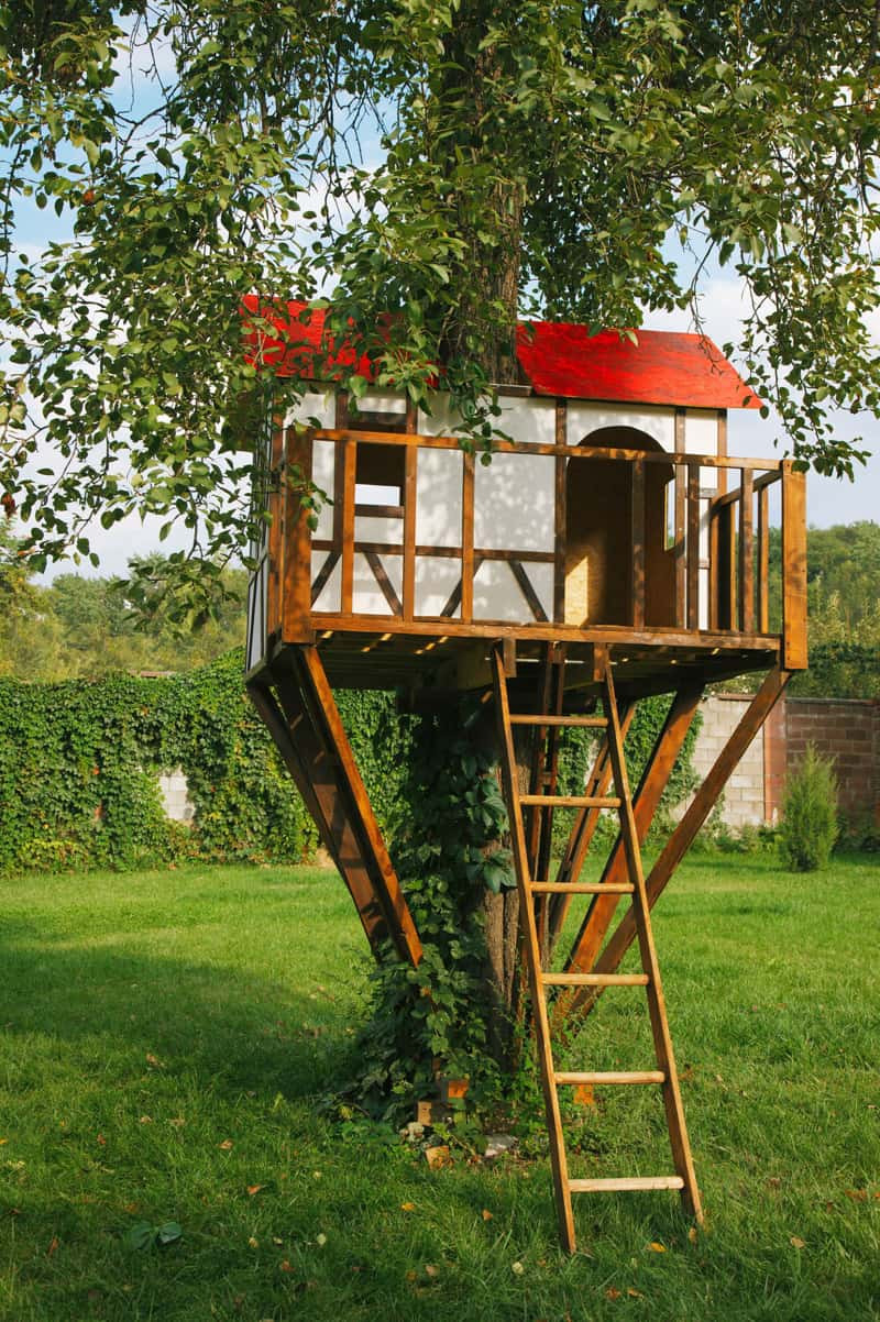 DIY Treehouse For Kids
 How to Build a Treehouse in the Backyard