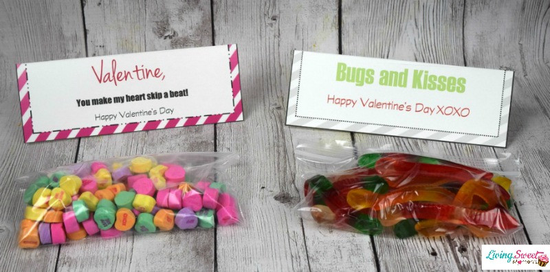 DIY Valentine Gift For Kids
 DIY Valentine s Gift For Kids