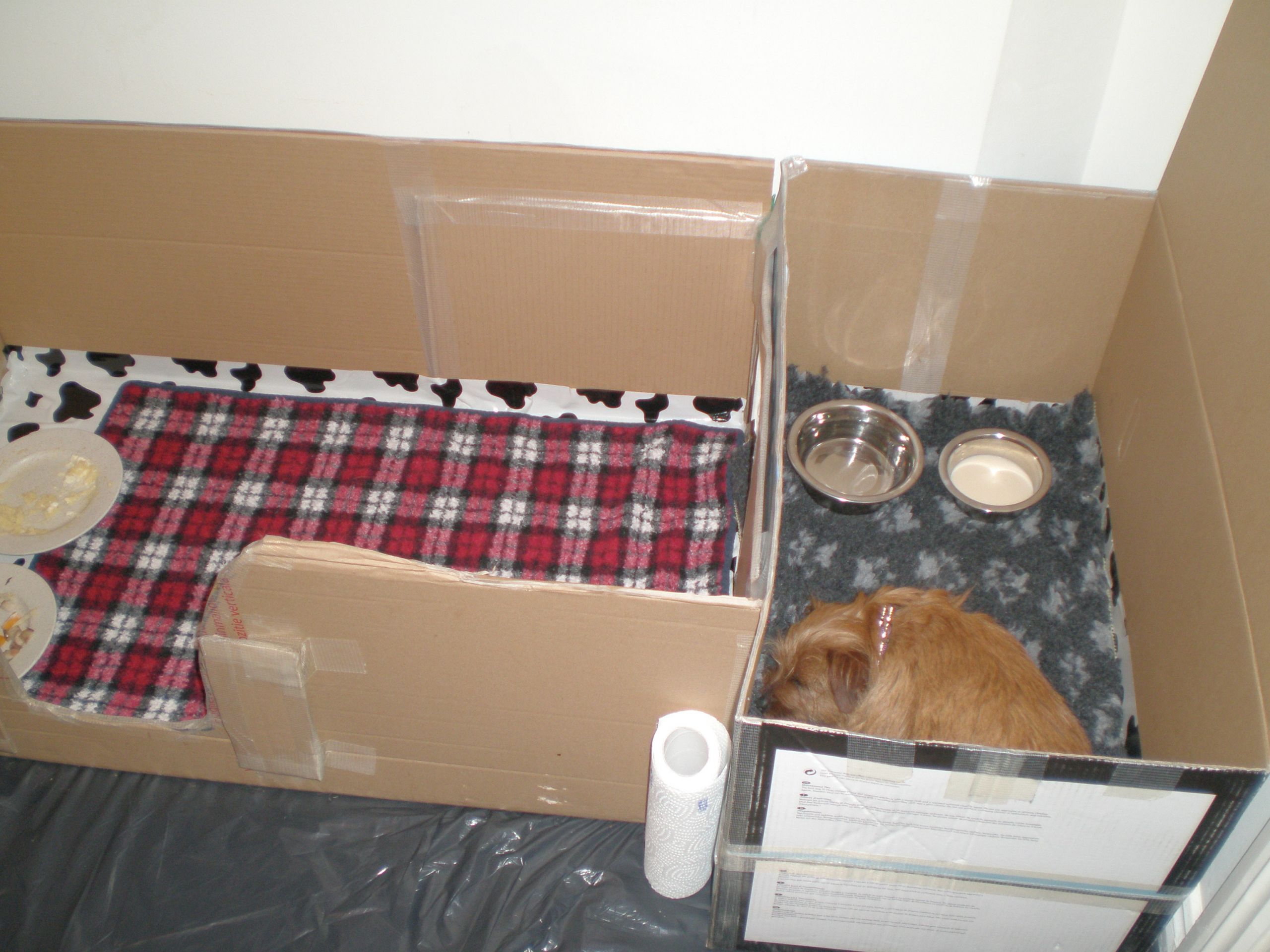 DIY Whelping Box
 How to Build a Whelping Box for Small Dogs