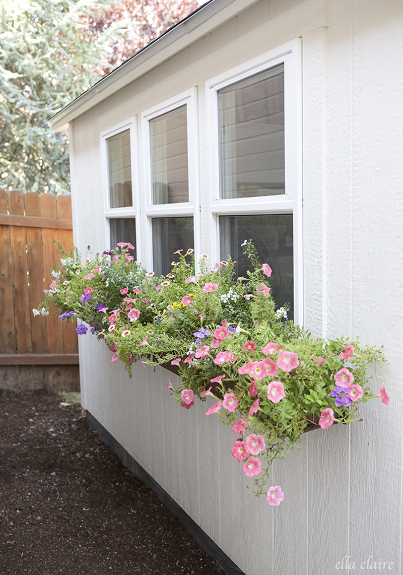 DIY Window Boxes
 15 Front Yard Landscaping Ideas